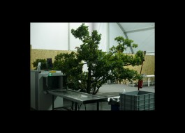 Hans Munk / Graphic Designer