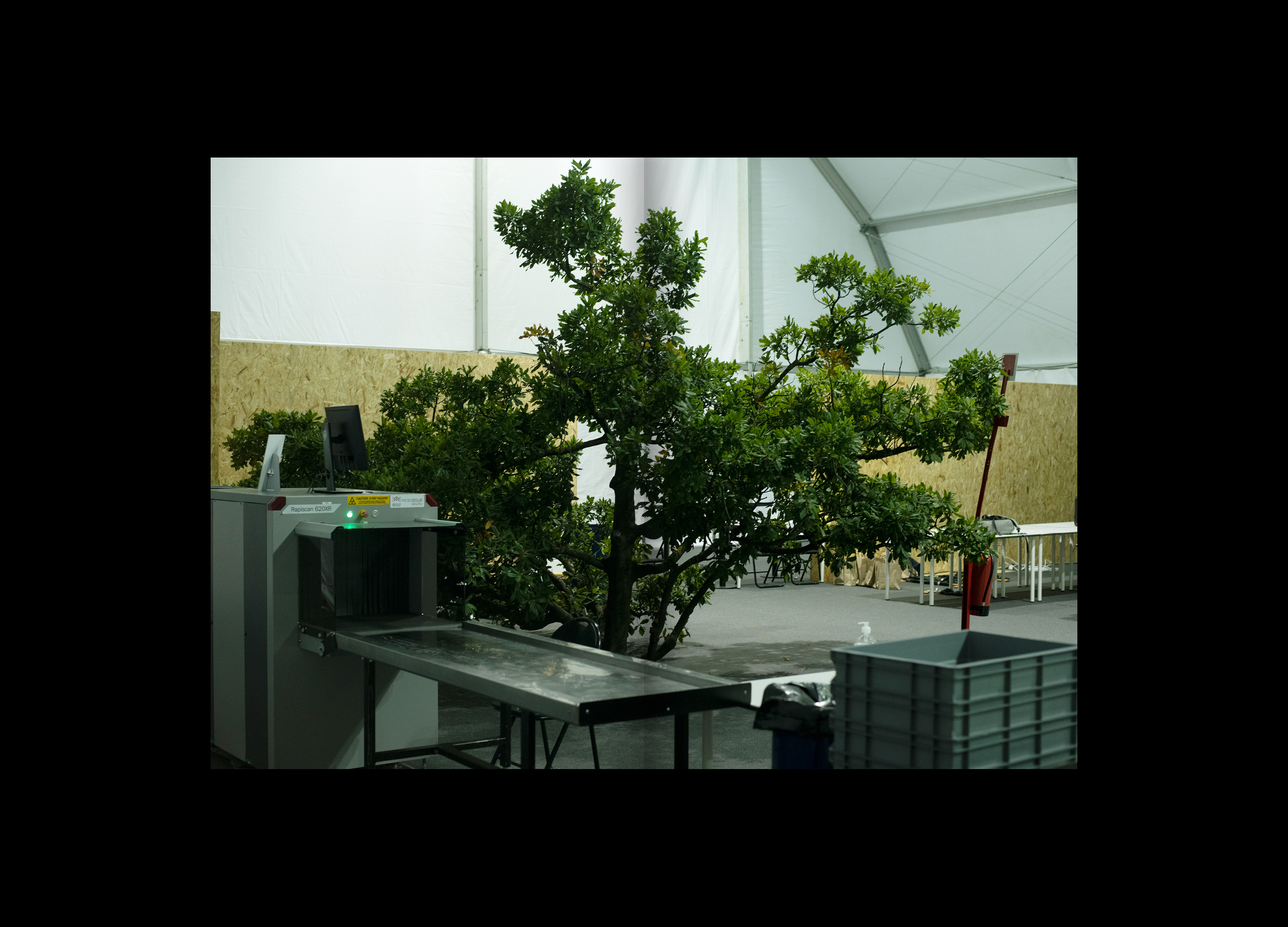 Hans Munk / Graphic Designer