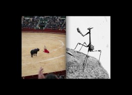 Hans Munk / Graphic Designer