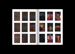 Hans Munk / Graphic Designer