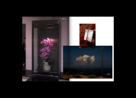 Hans Munk / Graphic Designer