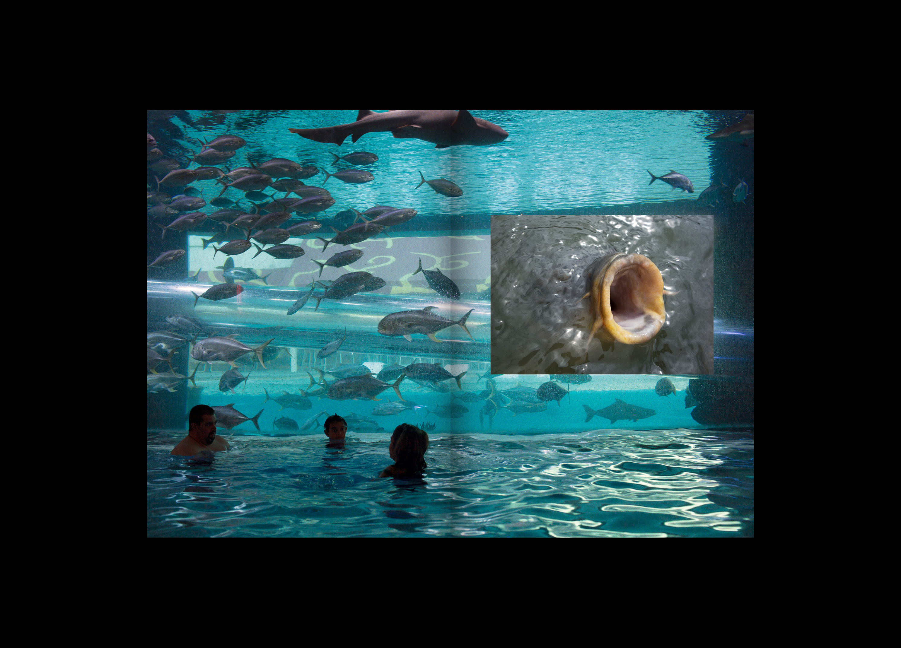 Hans Munk / Graphic Designer