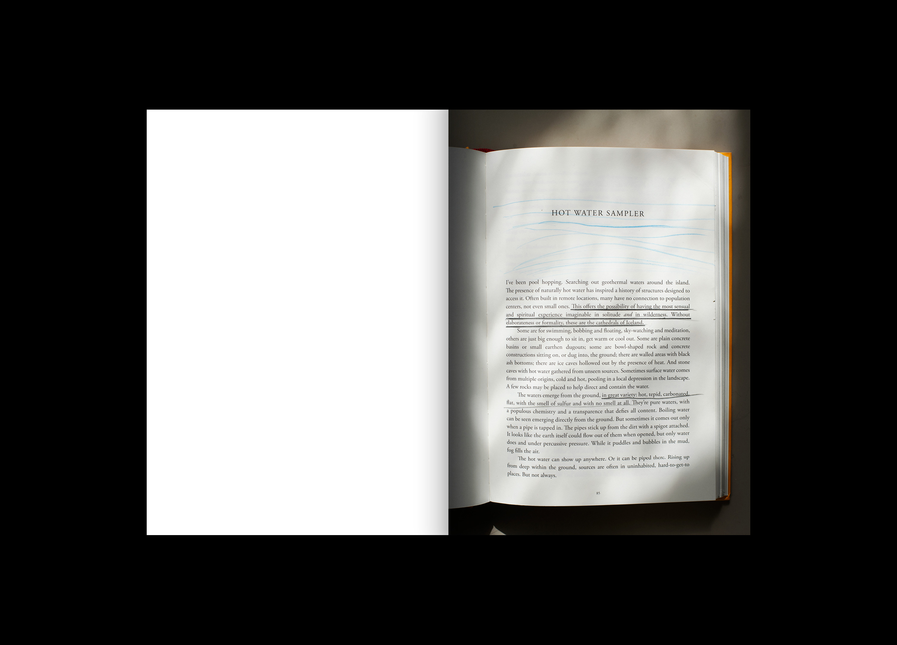 Hans Munk / Graphic Designer