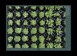 Hans Munk / Graphic Designer