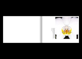 Hans Munk / Graphic Designer