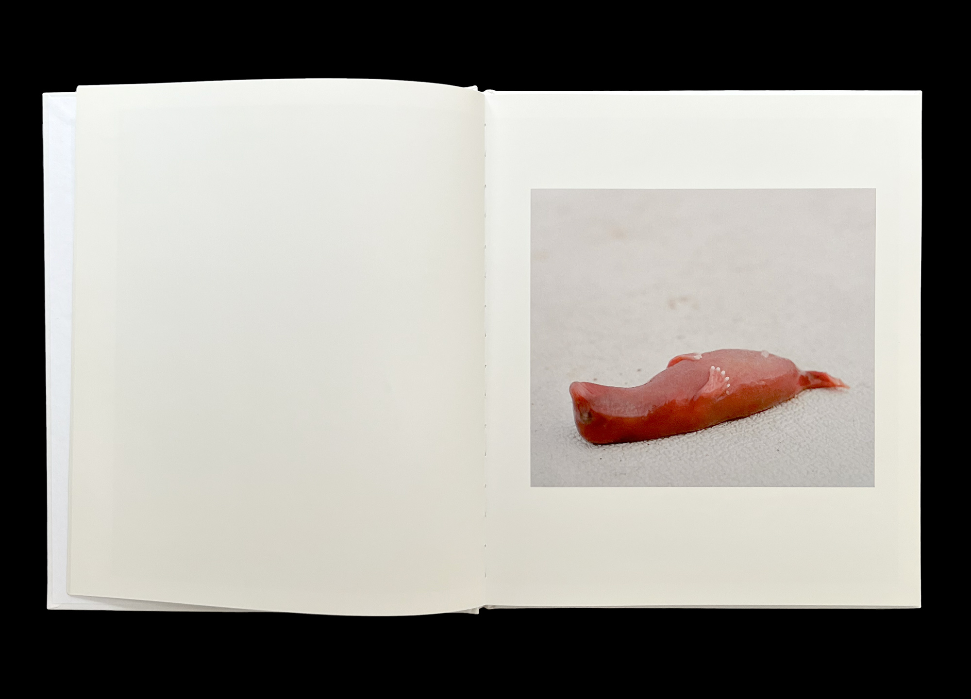 Hans Munk / Graphic Designer