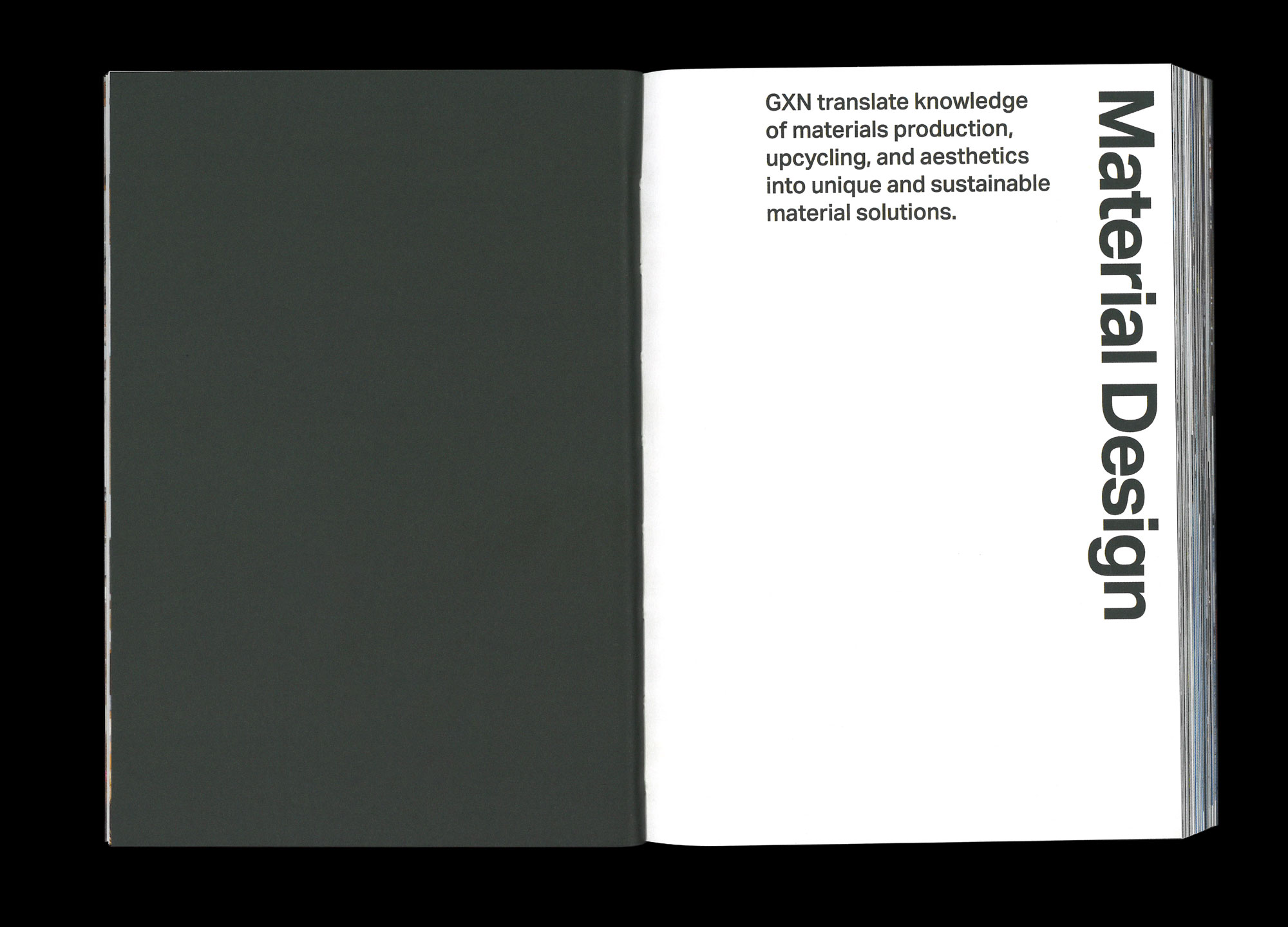 Hans Munk / Graphic Designer