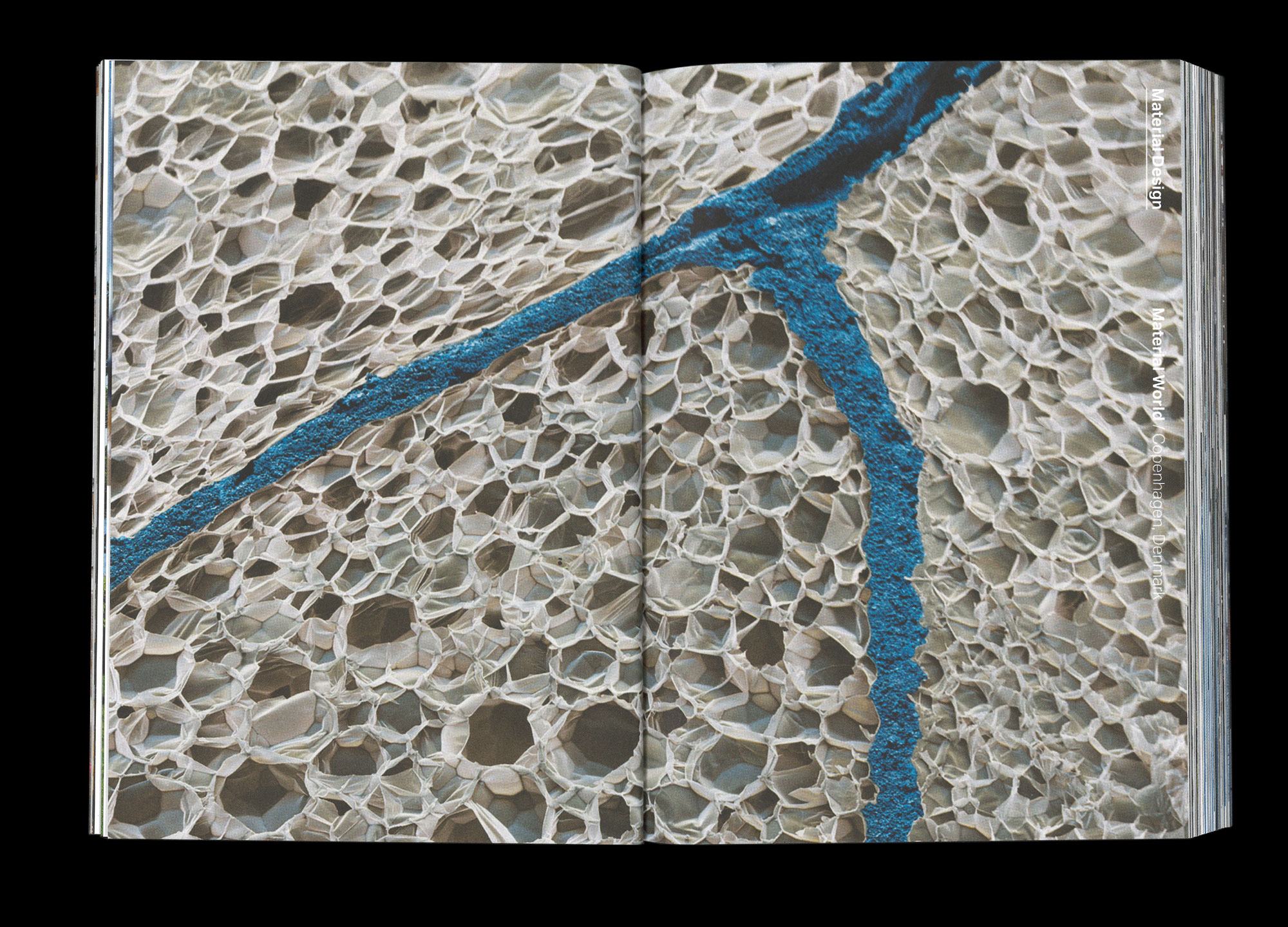 Hans Munk / Graphic Designer