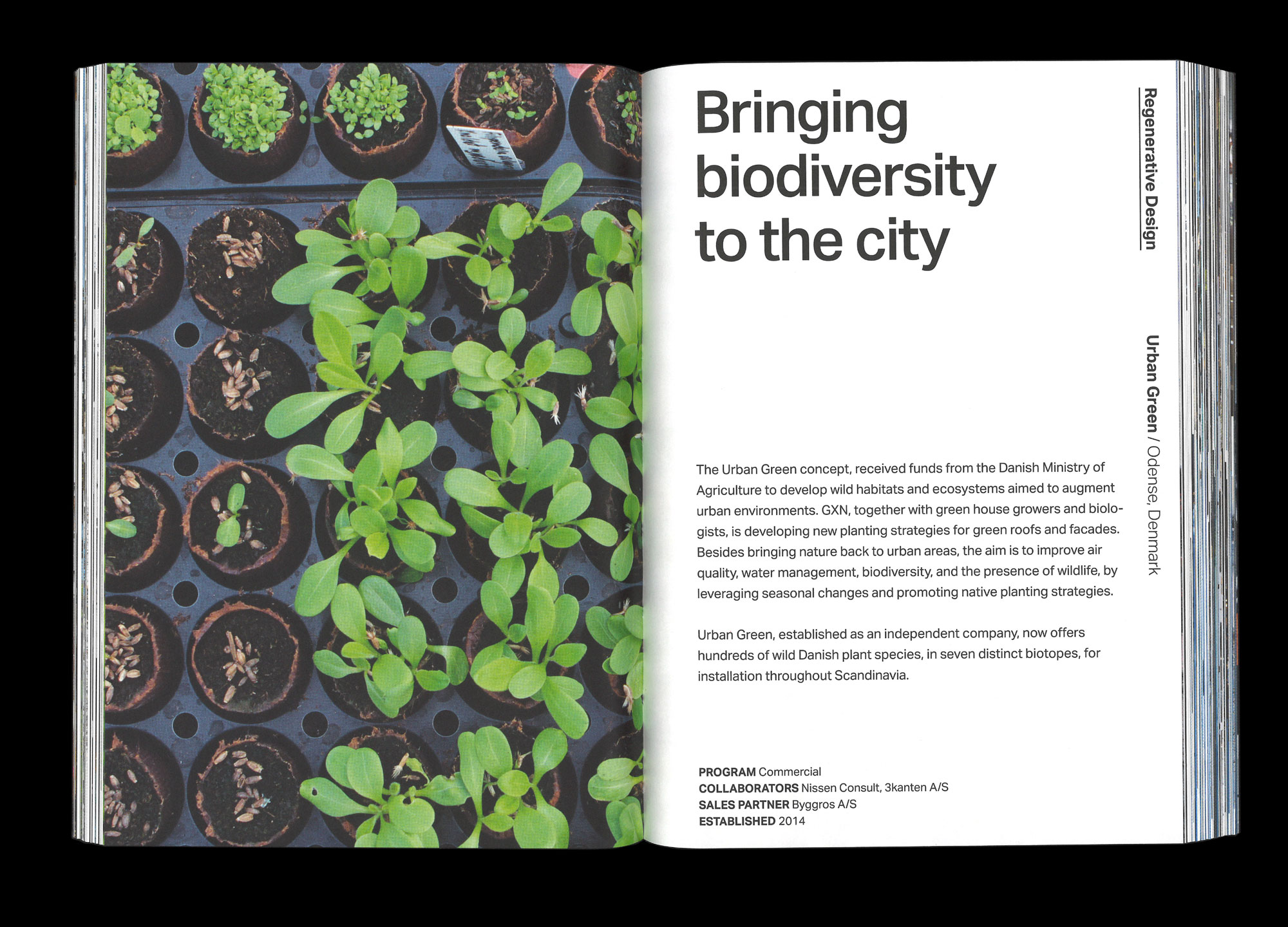 Hans Munk / Graphic Designer