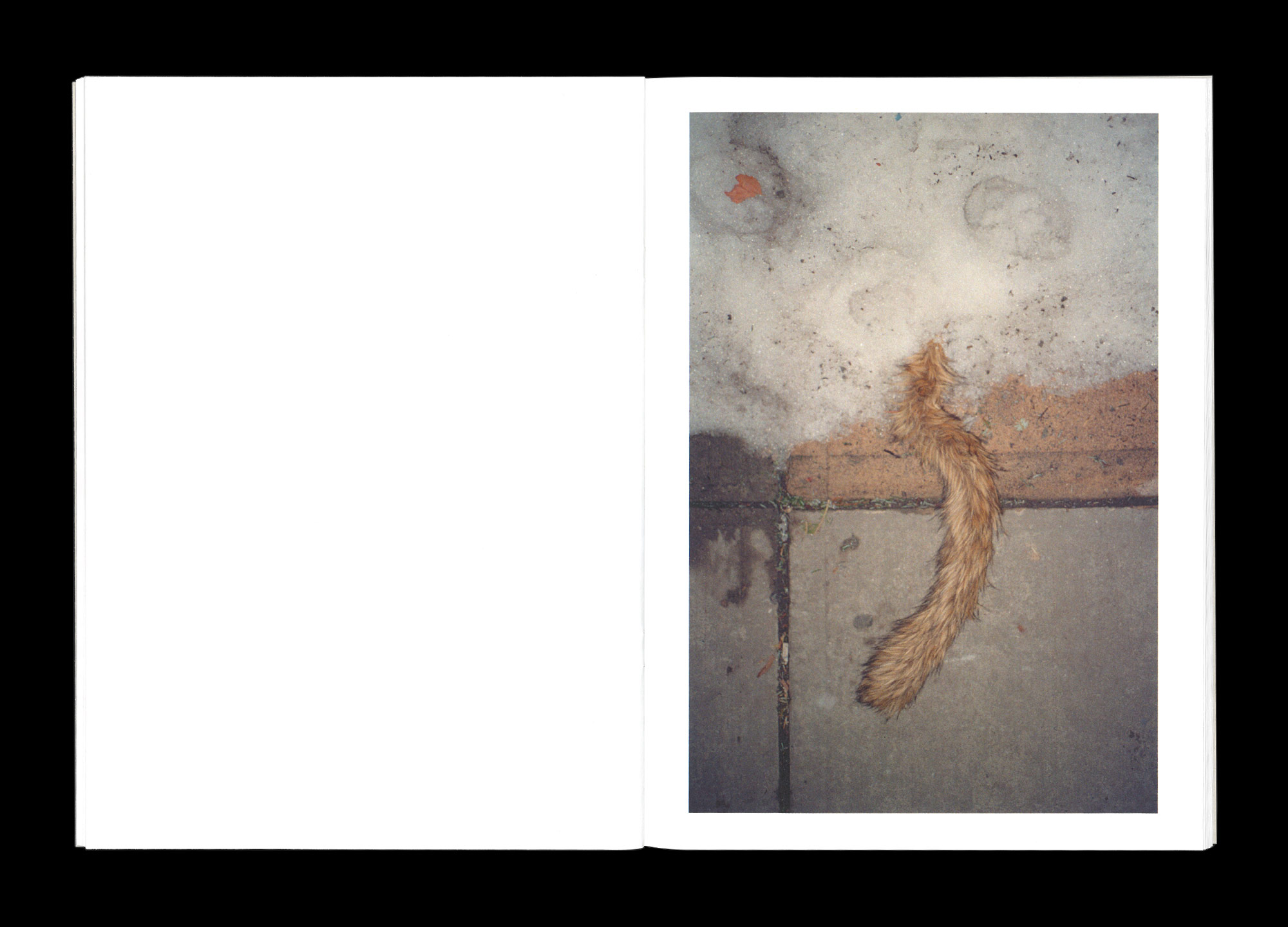 Hans Munk / Graphic Designer