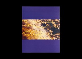 Hans Munk / Graphic Designer