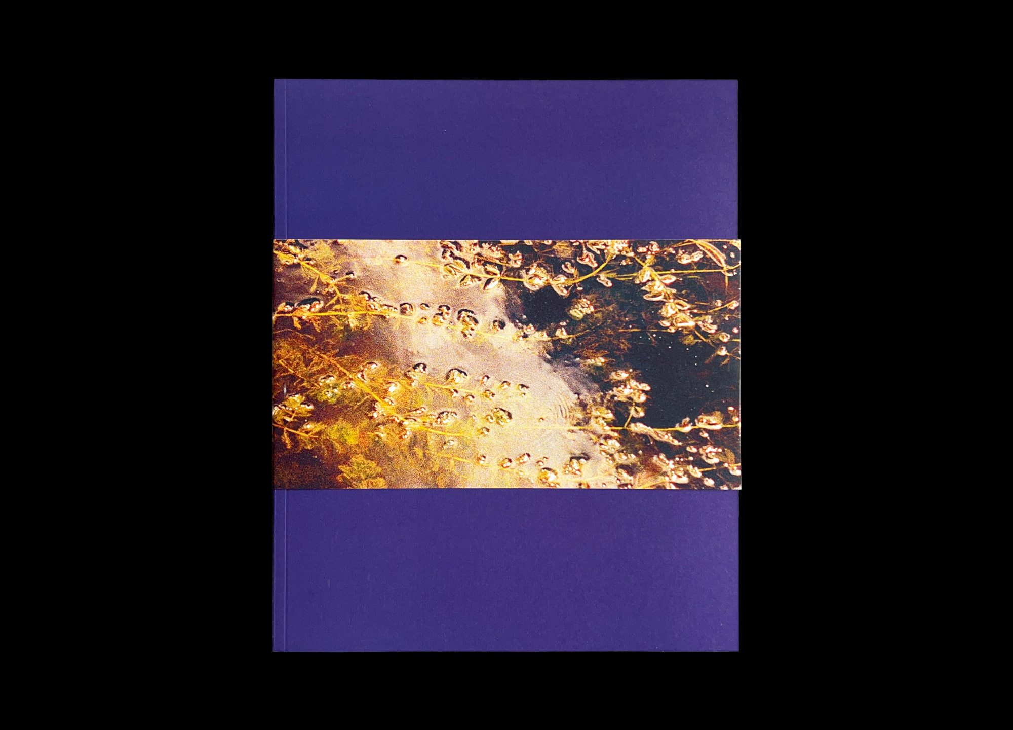 Hans Munk / Graphic Designer