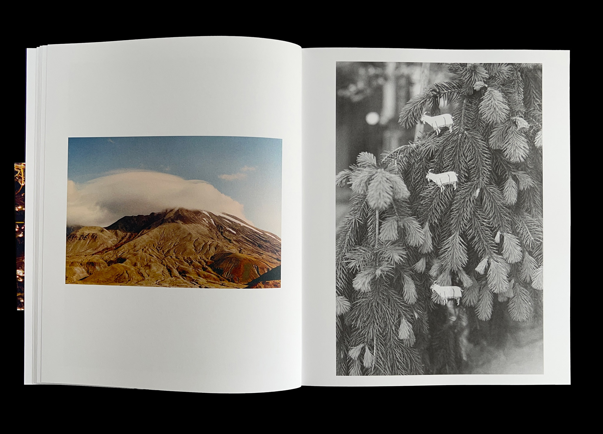 Hans Munk / Graphic Designer