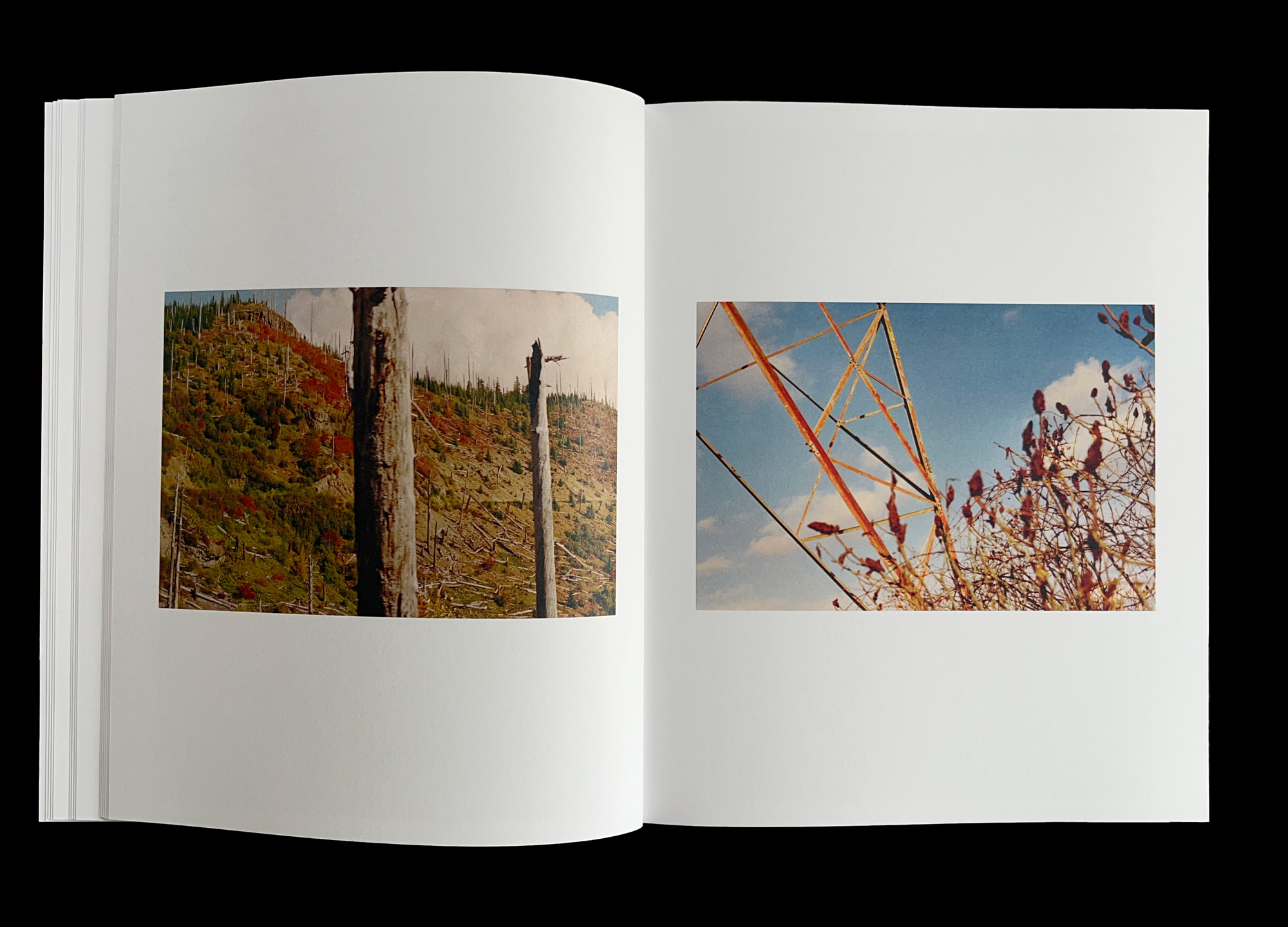 Hans Munk / Graphic Designer