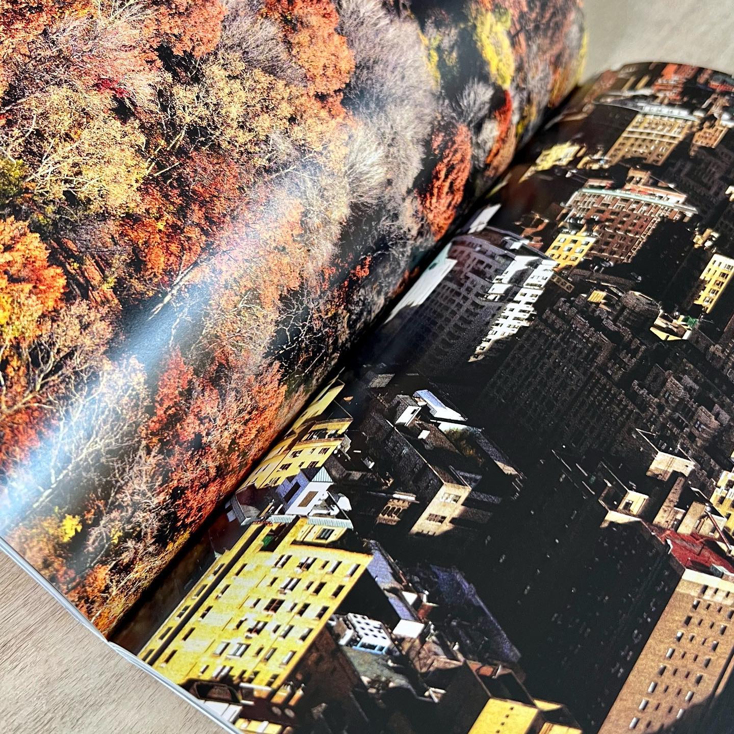 Hans Munk / Graphic Designer