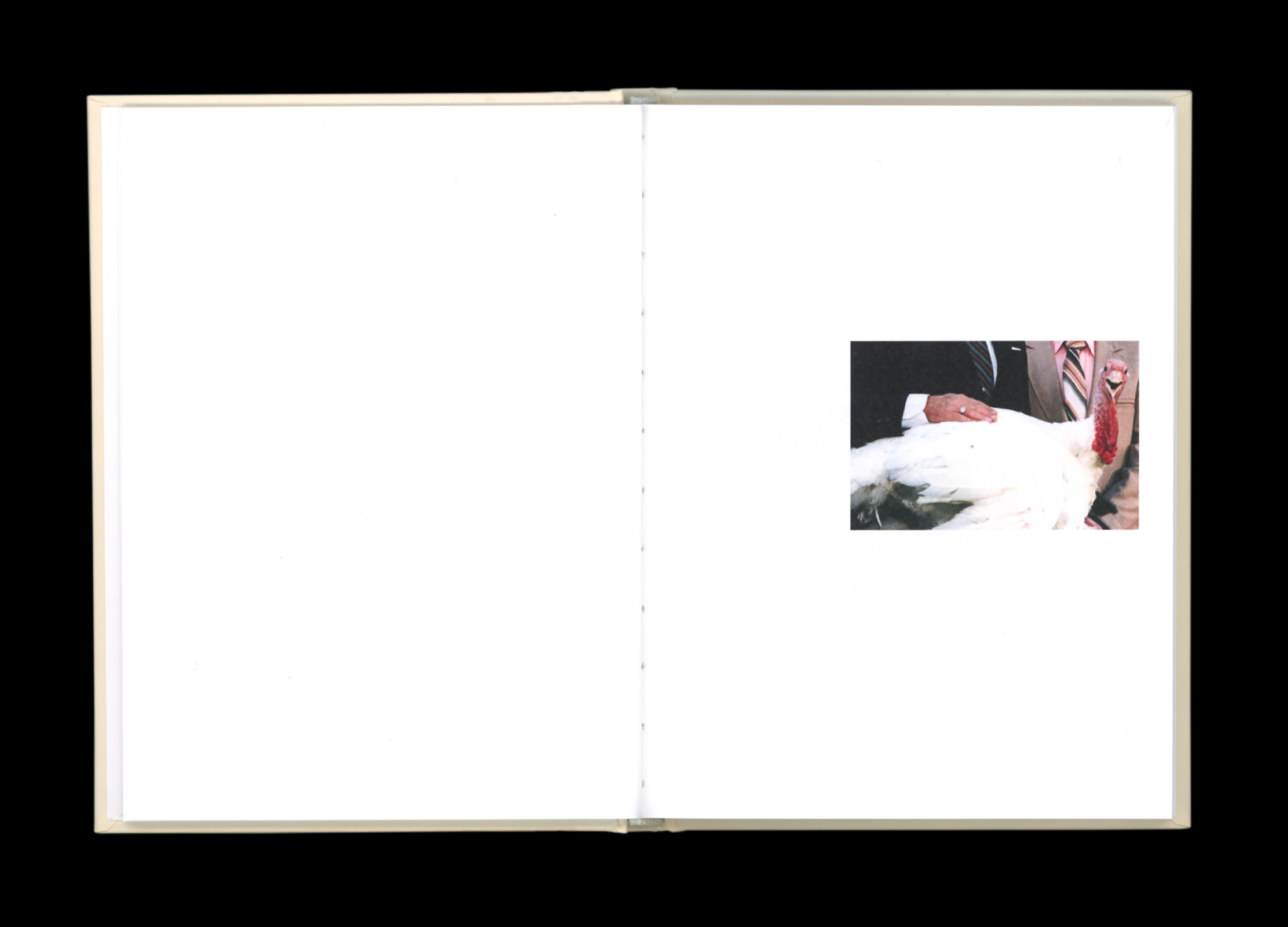 Hans Munk / Graphic Designer