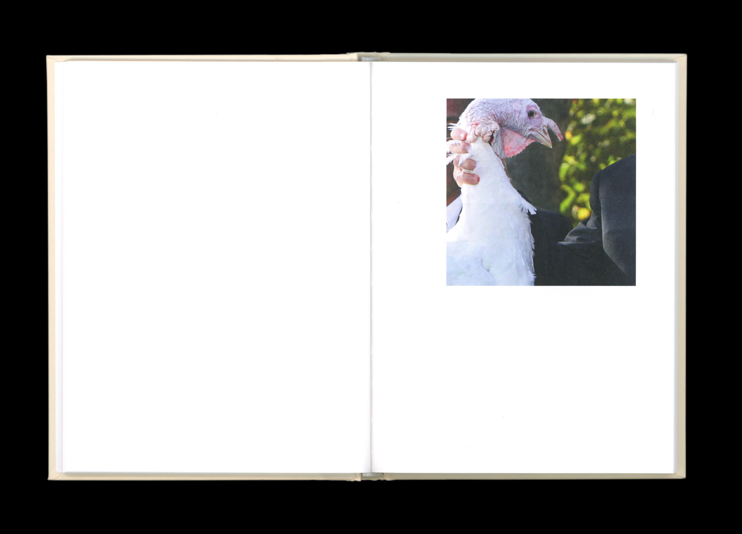 Hans Munk / Graphic Designer