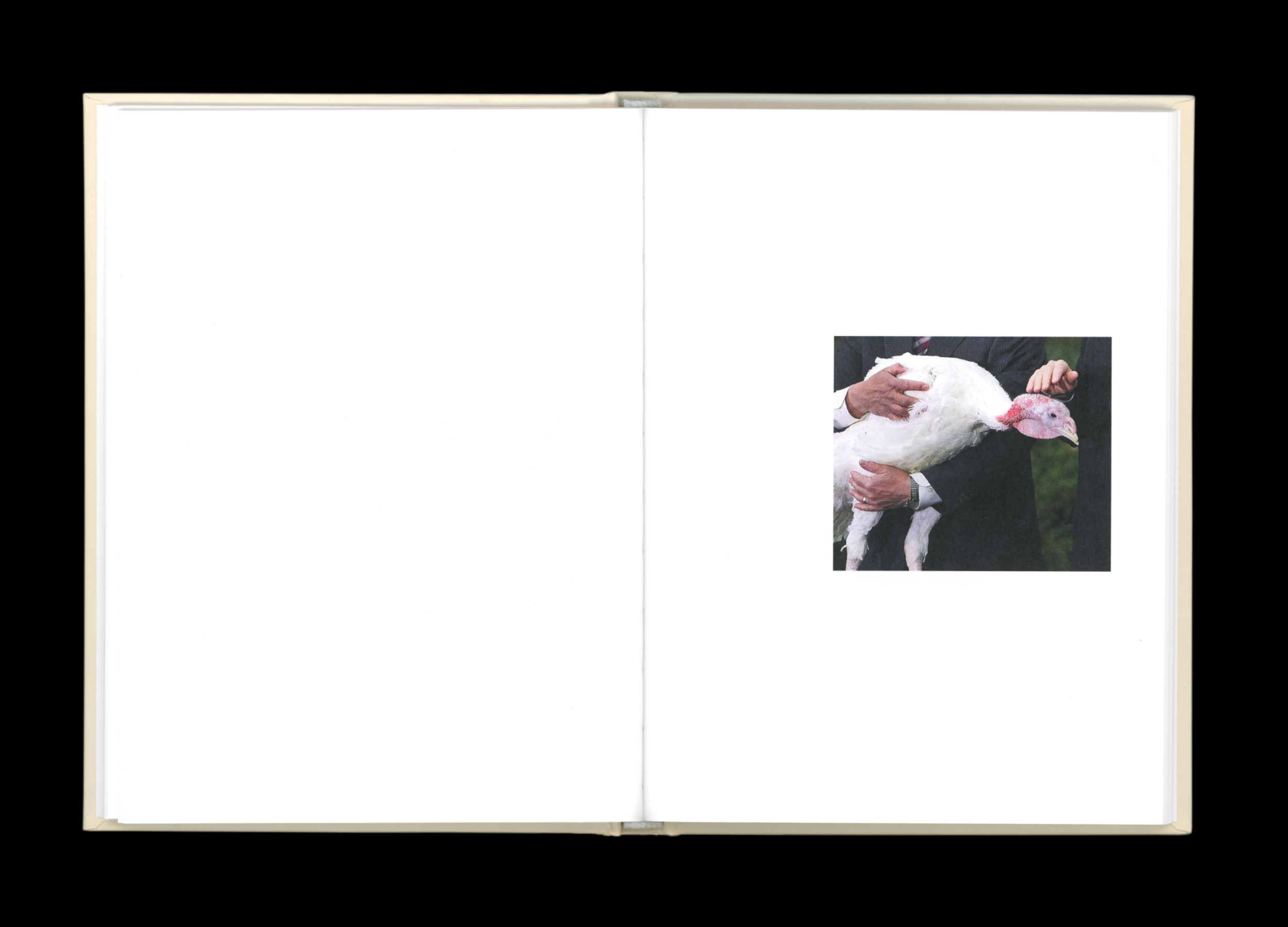 Hans Munk / Graphic Designer