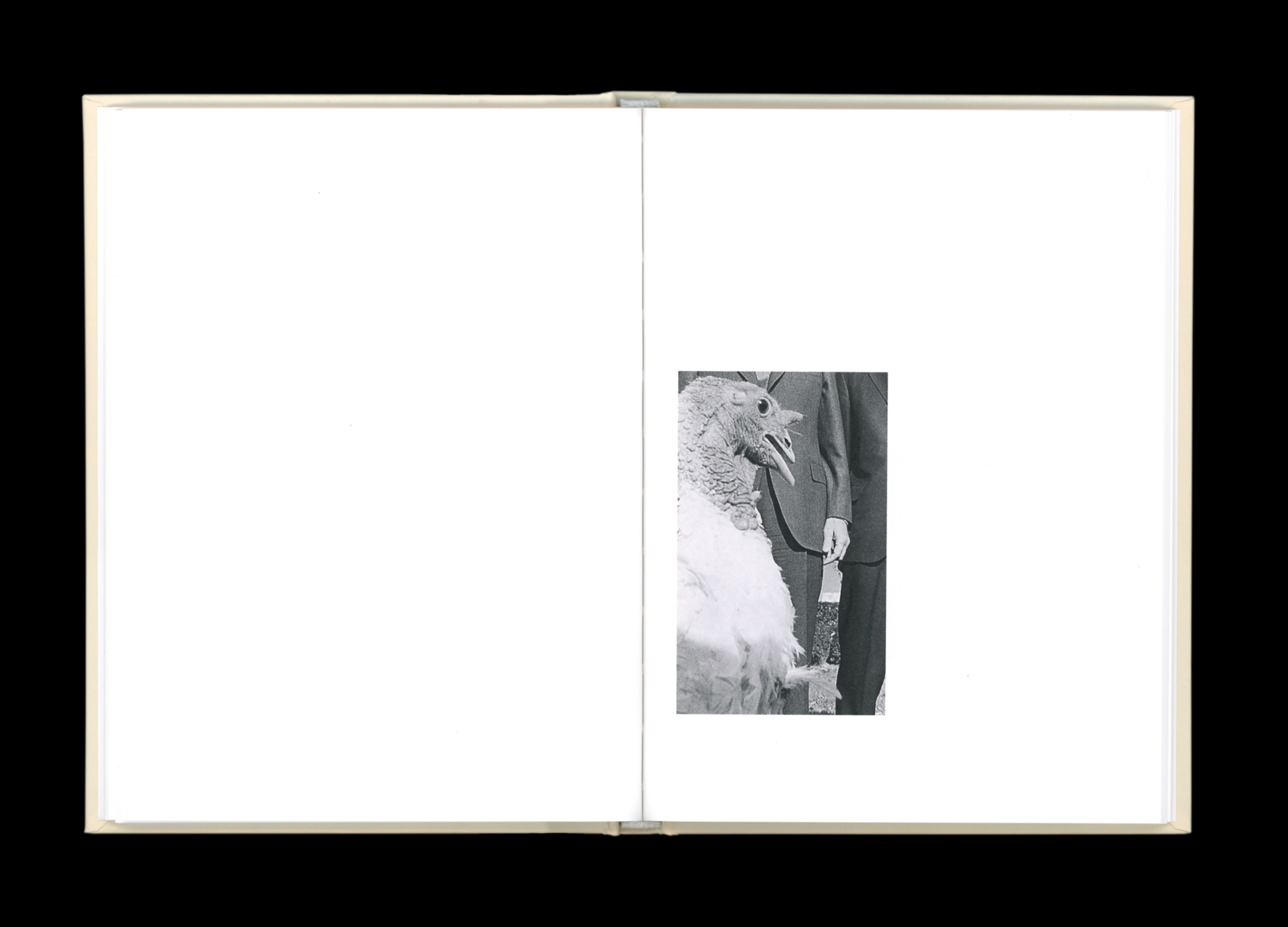 Hans Munk / Graphic Designer