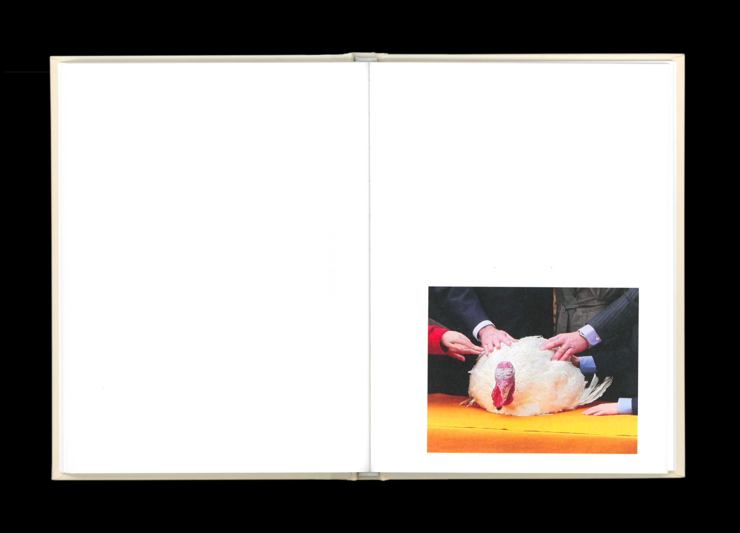 Hans Munk / Graphic Designer