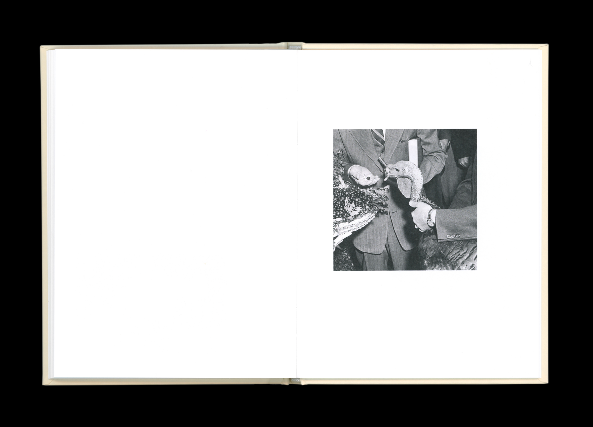 Hans Munk / Graphic Designer