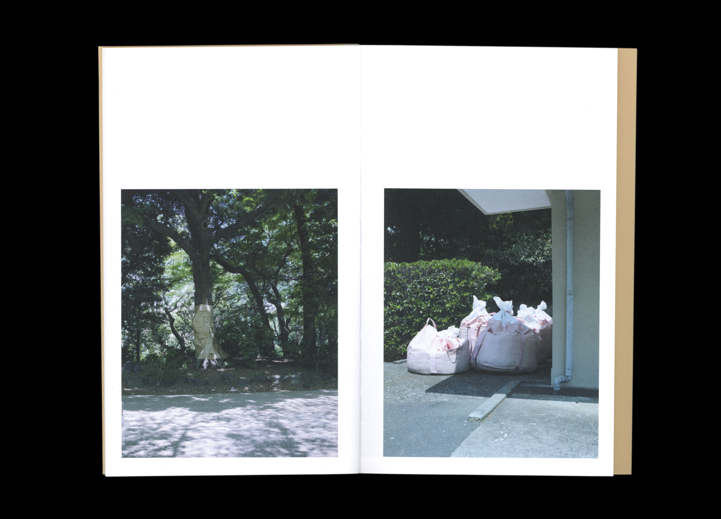 Hans Munk / Graphic Designer