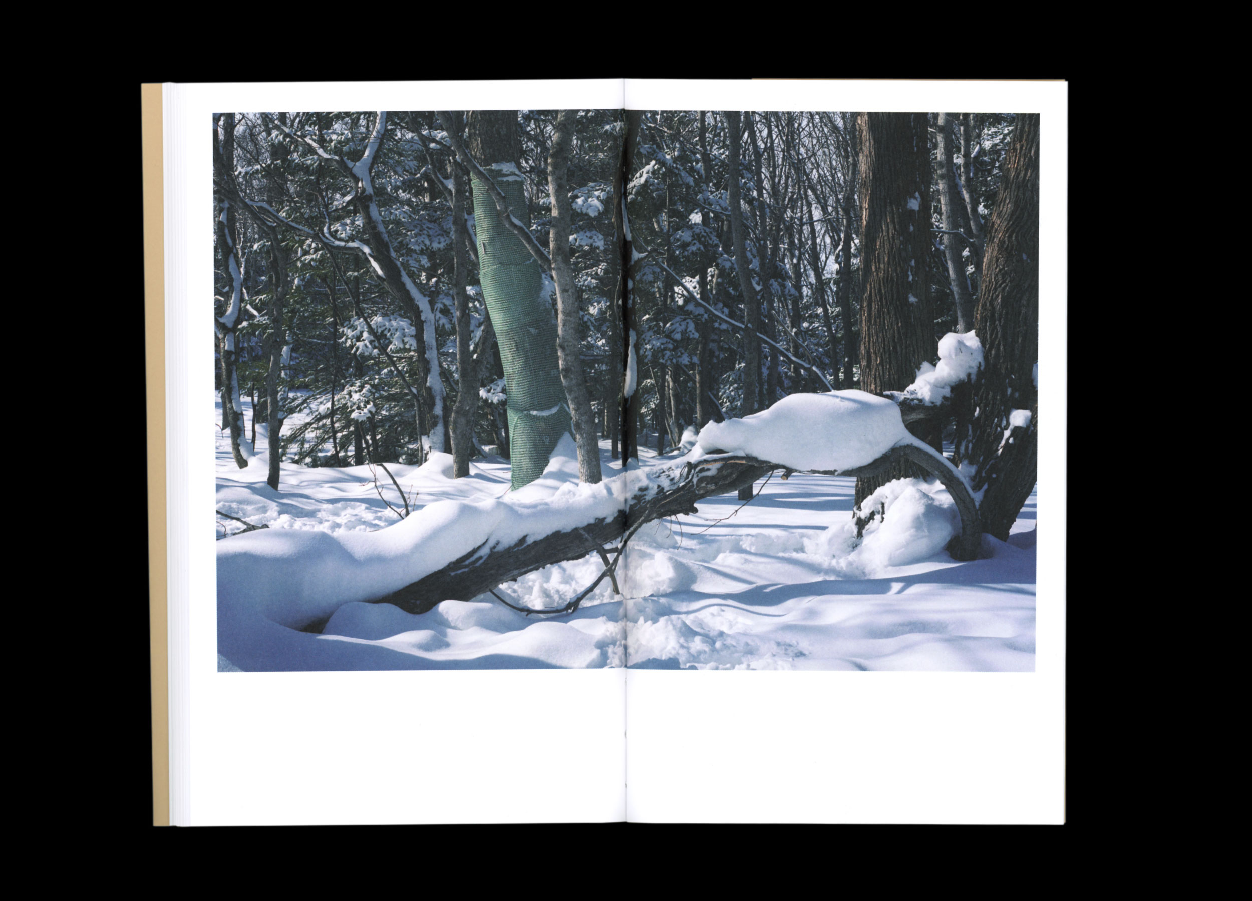 Hans Munk / Graphic Designer