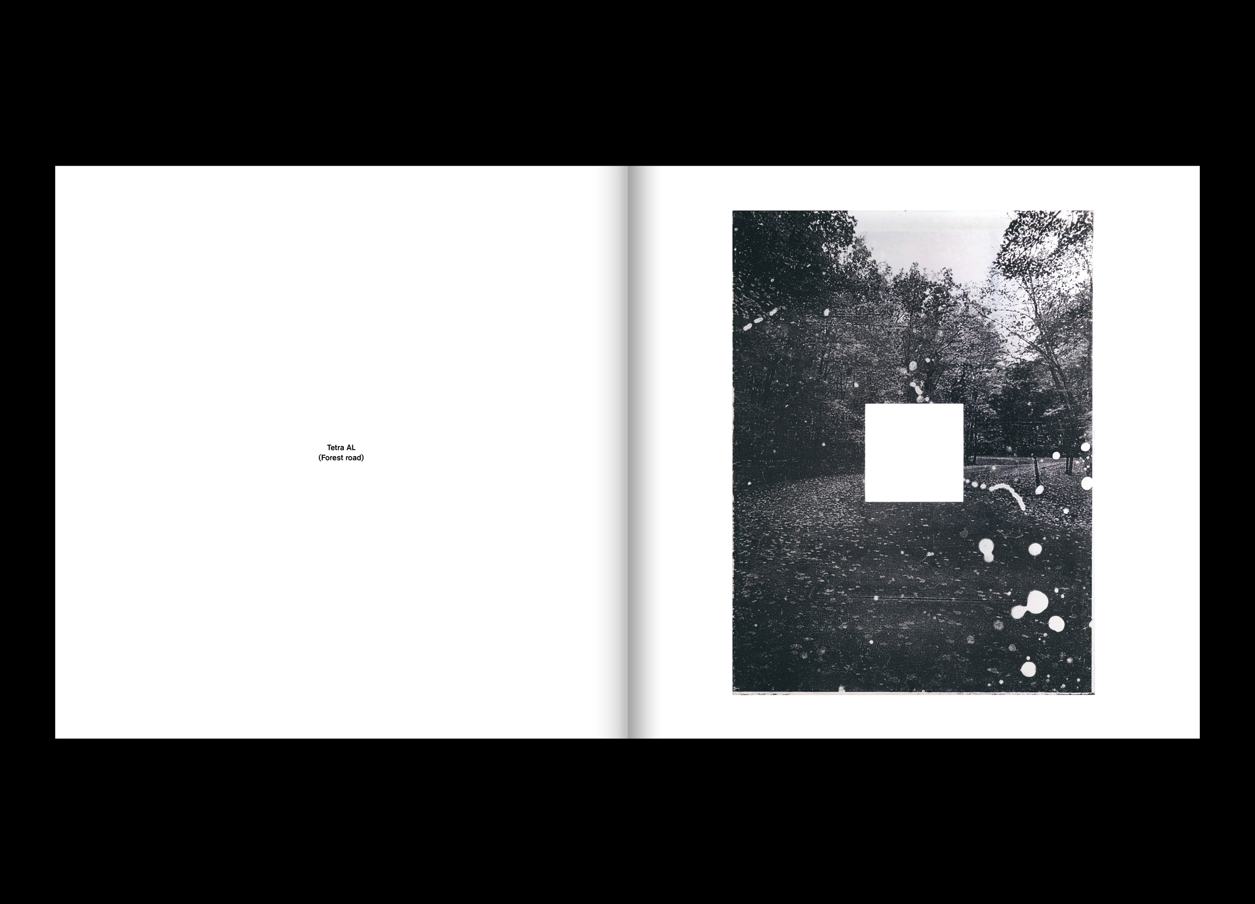 Hans Munk / Graphic Designer