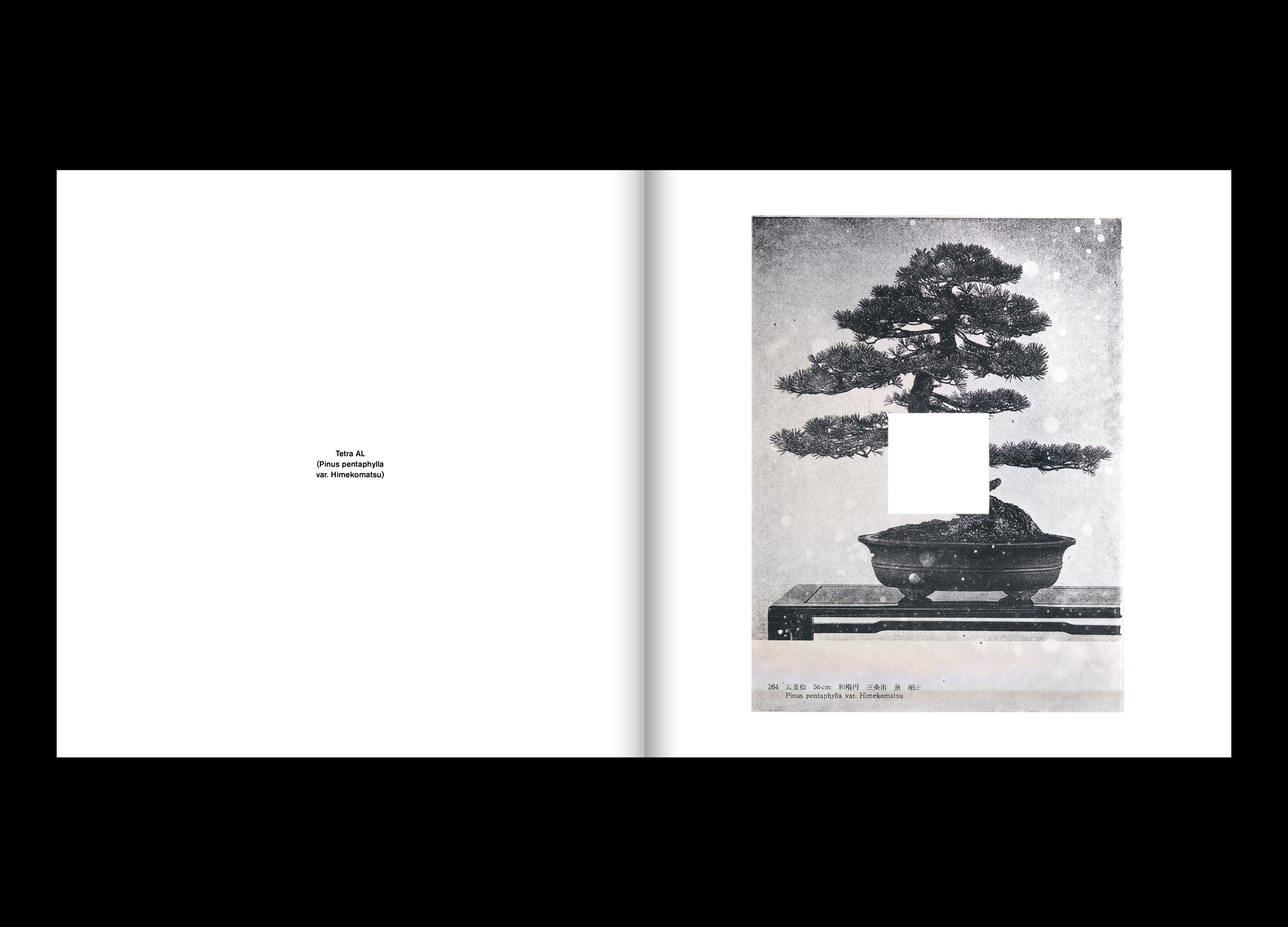 Hans Munk / Graphic Designer