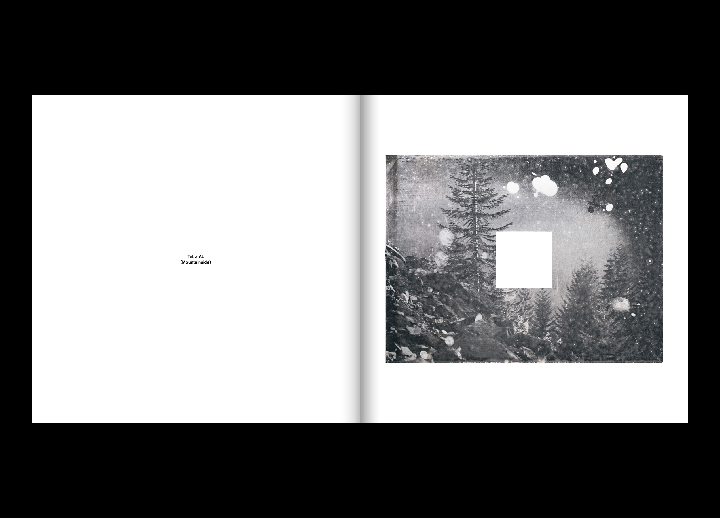 Hans Munk / Graphic Designer