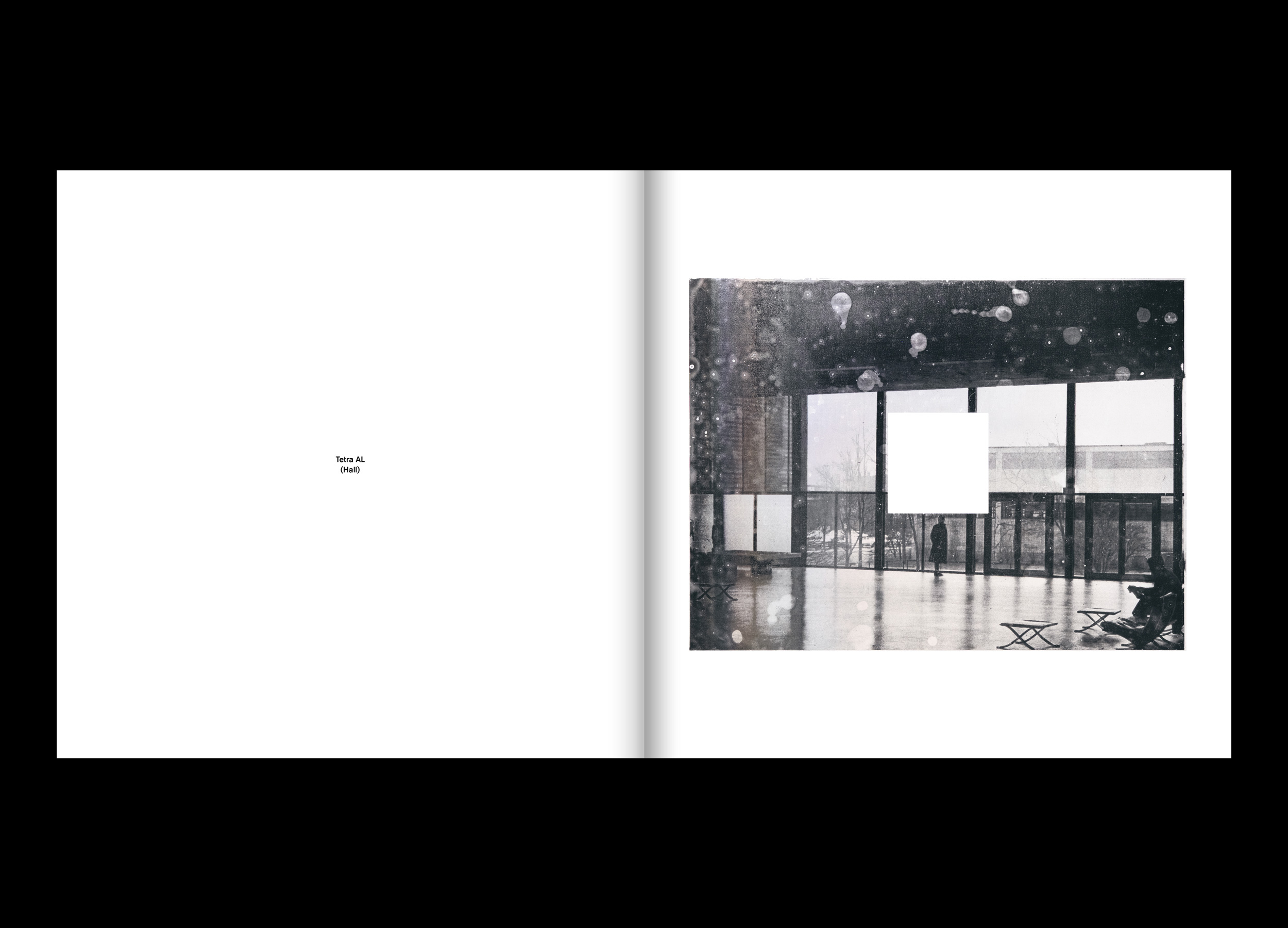 Hans Munk / Graphic Designer